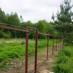 Профлист C-8, RAL 8017